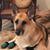 Susan Elise Vincent's profile image