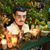 Velázquez Balbuena Alex's profile image