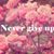Sadiaa Fiaz's profile image