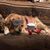Nancy Fischer's profile image