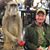 Don Hoffman's profile image