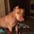 Kim Storey Pugh's profile image