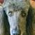 Julie Kubisiak's profile image