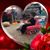 Brenda Dees Allee's profile image