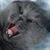 Igor Matynia's profile image
