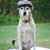 Kristin Lee Allen's profile image