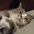 Deb Ghere's profile image