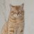 Joseph Jewell's profile image