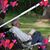 Mary Morgan's profile image