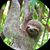 Jason Horner's profile image