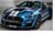 Shelby Stang's profile image