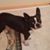 Rita Devlin DiCristino's profile image