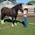 Lynnette Lambert Nylund's profile image