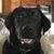Karen Cheatum's profile image