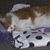 Irene Godina's profile image