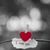 Shannon Heftka's profile image