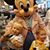Brian B. Mather's profile image