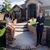 Jennifer Hammett Hall's profile image
