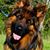 LaJuana Perkins LeCroy's profile image