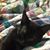 Amanda Gregoire's profile image