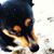 Krista Pittman's profile image