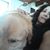 Lisette Joslynn's profile image