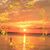 Carolyn Hatton's profile image