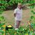 Roberta Skinner's profile image