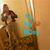 Lisa Harris's profile image