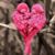 Dolores Canales's profile image