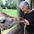 Karen Taylor's profile image