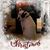 Cj Johnson Virgie's profile image