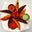 Prahar Sishtla's profile image