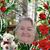Bonnie Grimes Wilhelmi's profile image
