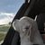 Heather Carlson's profile image