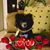 Darci Louise's profile image