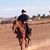 Hondo Hunter's profile image