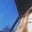 Asha Tran's profile image