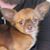 Saundra Petty's profile image