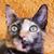Mark Burnell's profile image
