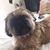Tina Etches's profile image