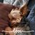 Deven Williams- Zellers's profile image