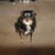 Tammi Littlefair's profile image