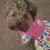 Junette McMurray's profile image