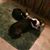Mary Jane Demeri's profile image