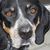 Marianne Advocaat's profile image