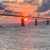 Linda Owen Studer's profile image