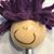 Tracy Shipley's profile image