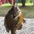LuAnn Schraut Deppa's profile image