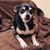 Wendy Jernigan Morgan's profile image